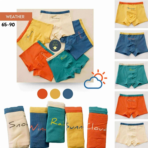 Bulledor Set chip đùi 5p Weather size 70