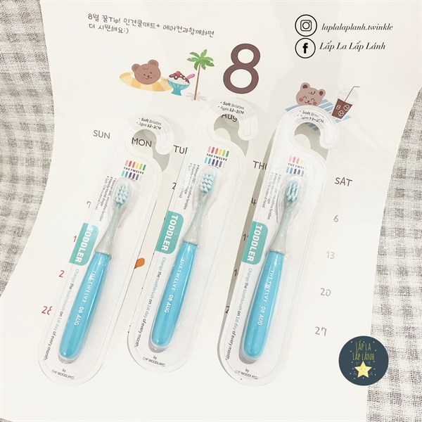 The Twelve Bàn chải August Xanh dương