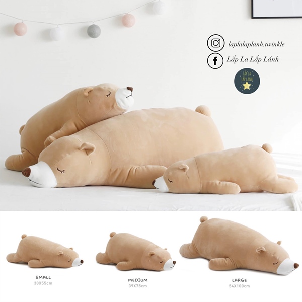 CoaaCoaa Gấu ngủ 100cm