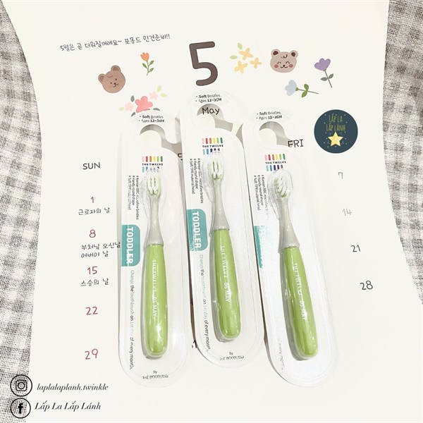 The Twelve Bàn chải May xanh lá