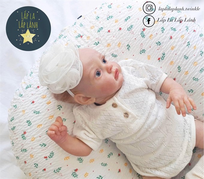 Rototobebe Vỏ gối chống trào New tree cotton xốp