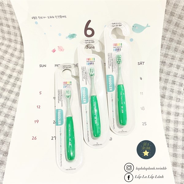 The Twelve Bàn chải June Xanh lá