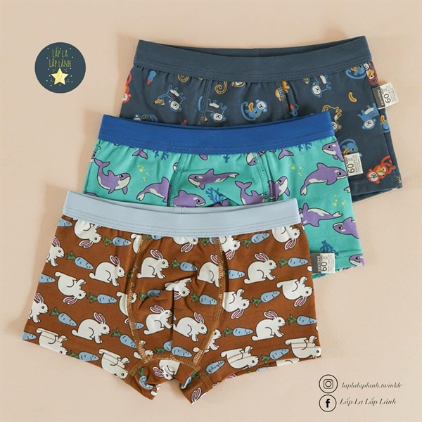 Dailylike Set quần chip boy 5 size 60 3-4y