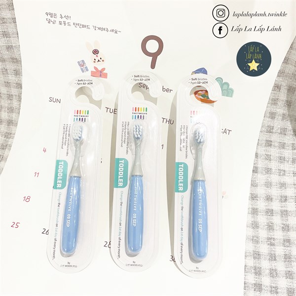 The Twelve Bàn chải Toddler Cam