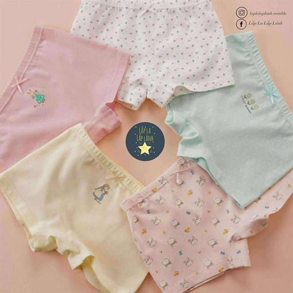 Bulledor Set chip đùi 5p Day cat size 75