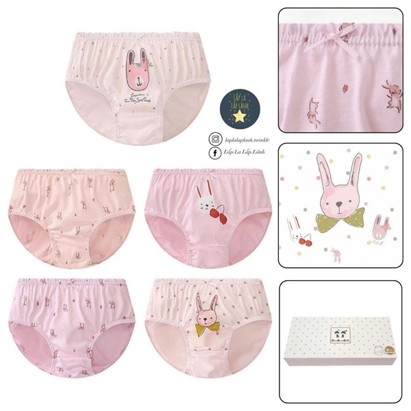 Dingdongdang Set quần chip 5p Thỏ hồng size 70