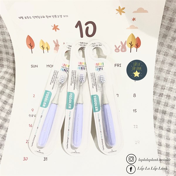 The Twelve Bàn chải October Tím