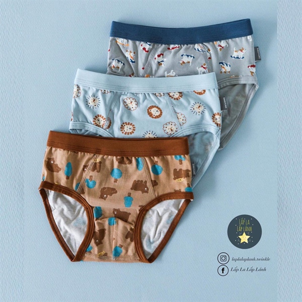 Dailylike Set quần chip tam giác Boy 2 size 75 8-9y