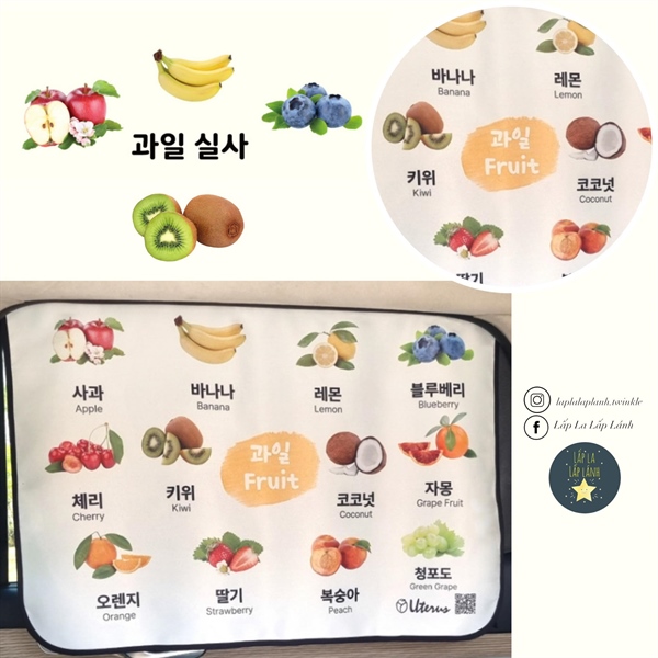 Uterus Chắn nắng trái cây