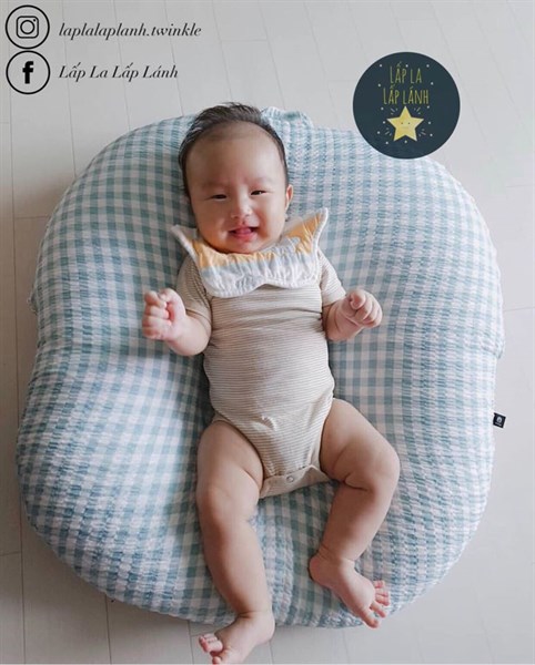 Rototobebe Vỏ gối chống trào Caro Mint