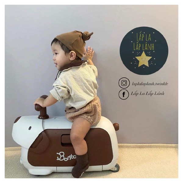 Bontoy Vali cún trắng nâu