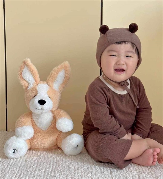 Malanghoney Cún tai cụp